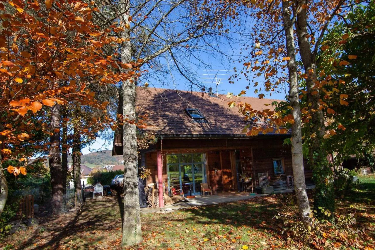 Homebuddy' - Villa Sur Les Hauteurs Annecy Chalet