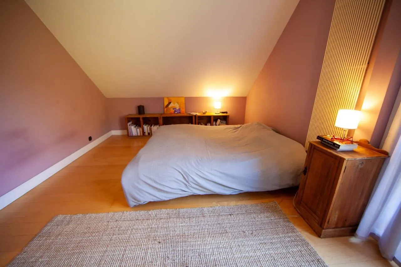 Chalet Homebuddy' - Villa Sur Les Hauteurs Annecy France